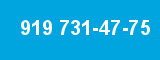 919 731-47-75